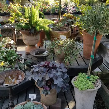 The Greenery Nursery - Nurseries & Gardening Near Me - Turlock, California The Greenery Nursery - Nurseries & Gardening Near Me - Turlock, California