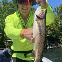 Norfork River Resort - 4-1/2 Lb. Rainbow trout caught behind the Norfork Dam.