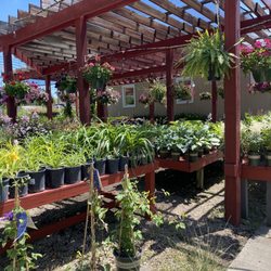 Southbranch Nursery