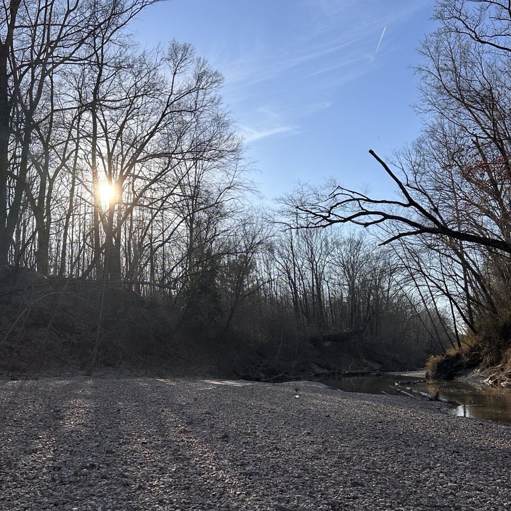 Nonconnah Greenbelt - Quiet beach area. I'm sure high school kids come down here but there was hardly any trash (there's a rope to help you get up and down) - Hiking Near Me - Memphis, Tennessee Nonconnah Greenbelt - Quiet beach area. I'm sure high school kids come down here but there was hardly any trash (there's a rope to help you get up and down) - Hiking Near Me - Memphis, Tennessee