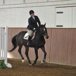 Hand & Hoof Equine