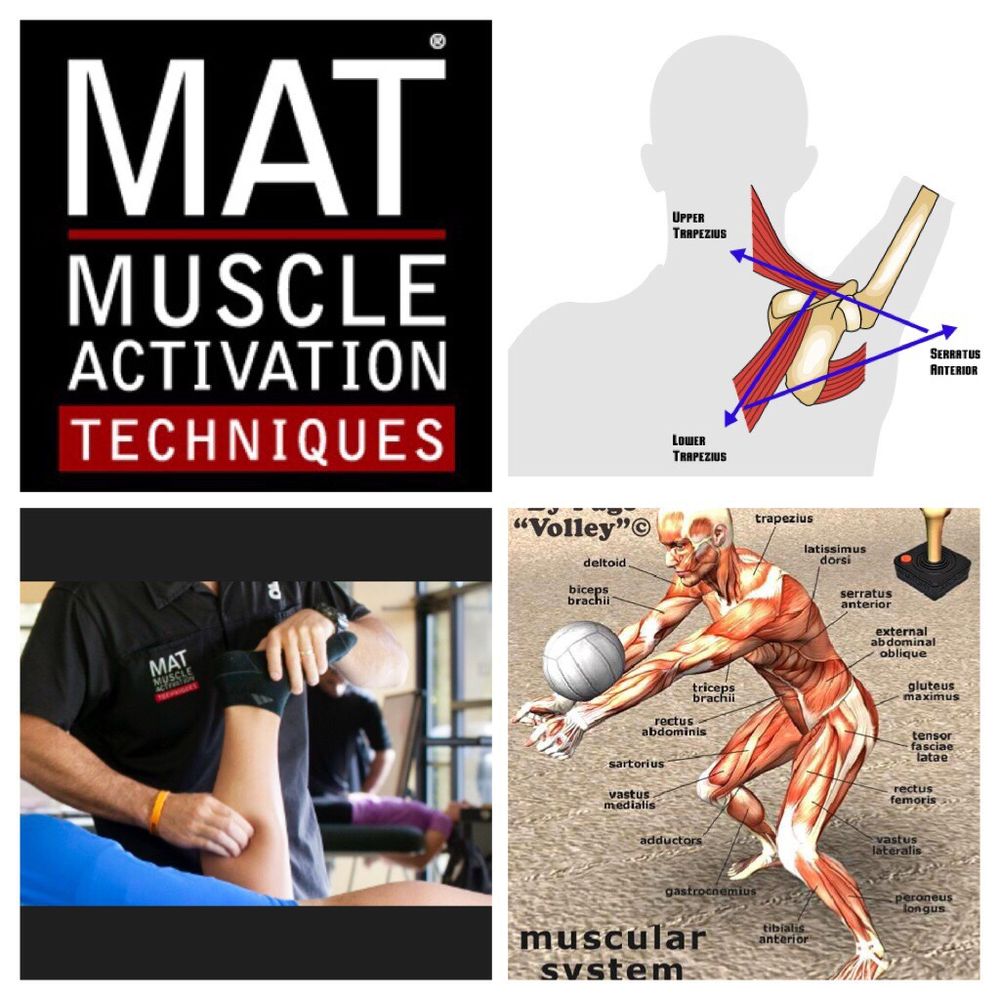 Rey Muniz, MAT Specialist, LMT, Fitness Professional Logo