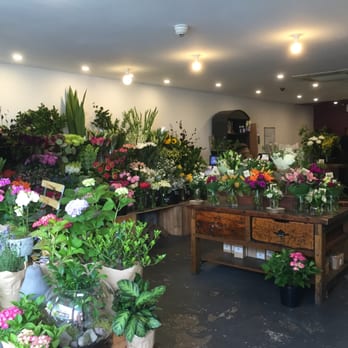 Elwood Flowers - Florists Near Me - Elwood, VIC Elwood Flowers - Florists Near Me - Elwood, VIC