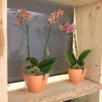 Blumen Remund - Florists Near Me - Wallisellen, ZH
