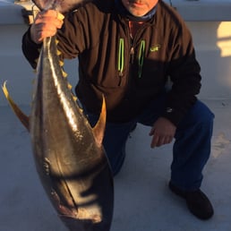 Yellow fin