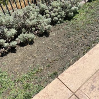 Ultimate Lawn Care - a patch of grass with a fence in the background - Gardeners Near Me Ultimate Lawn Care - a patch of grass with a fence in the background - Gardeners Near Me