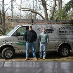 Fosters Wildlife Control Service - Serving Jackson and Hillsdale county since 1987