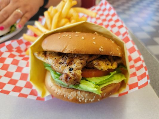 Astro Burger by null