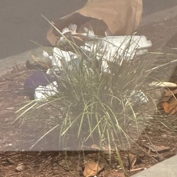 Premiere Hollywood - Trash for days - Apartments Near Me - Los Angeles, California