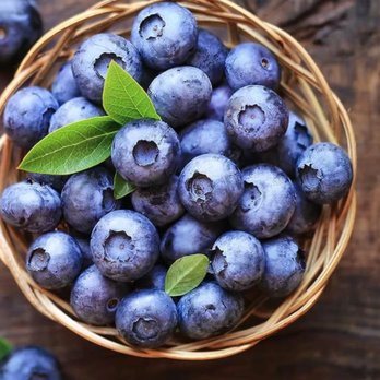 MOR - a basket of blueberries - Gluten-Free Near Me - Milwaukee, Wisconsin MOR - a basket of blueberries - Gluten-Free Near Me - Milwaukee, Wisconsin