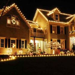 Elite Christmas Lights