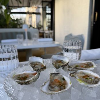 Mamani - Murder Point Oysters- Mezcal, Red Pepper Vinegar - French Near Me - Dallas, Texas