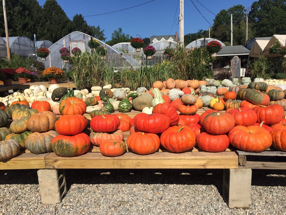 R & C FARMS & GARDEN CENTER Updated September 2024 124