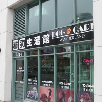 Dog Care Wonderland - Pet Groomers Near Me - Toronto, Ontario Dog Care Wonderland - Pet Groomers Near Me - Toronto, Ontario