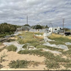 Blazing Fast Greenhouses