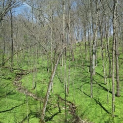 Redbird Hollow Preserve