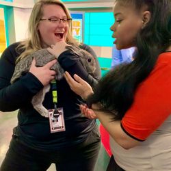 WJXT- News4Jax - Animals in the studio!