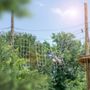 Go Ape Zipline & Adventure Park