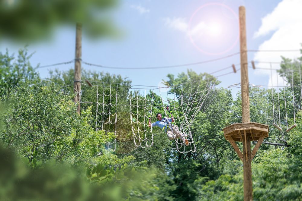 Go Ape Zipline & Adventure Park Logo