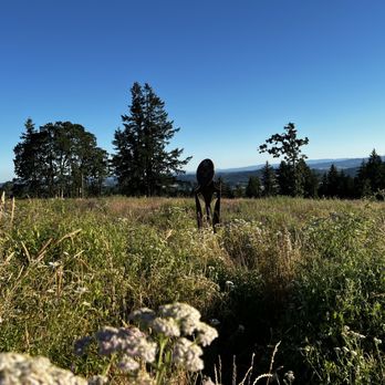 Chehalem Ridge Nature Park - Hiking Near Me - Gaston, Oregon