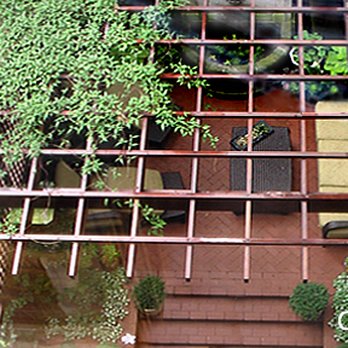 H LINE ARBORIST - NYC BACKYARD & TERRACE DESIGN & PLANTING. Multi-Season planters. Commercial or Residential. - Tree Services Near Me - New York, New York H LINE ARBORIST - NYC BACKYARD & TERRACE DESIGN & PLANTING. Multi-Season planters. Commercial or Residential. - Tree Services Near Me - New York, New York