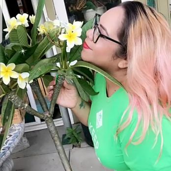 Sanyo Nursery - Nurseries & Gardening Near Me - Los Angeles, California
