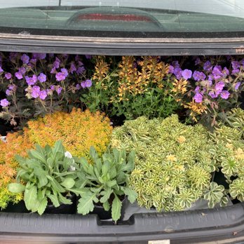 Colonial Gardens - My finds! - Nurseries & Gardening Near Me - Phoenixville, Pennsylvania