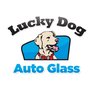 Photo of Lucky Dog Auto Glass