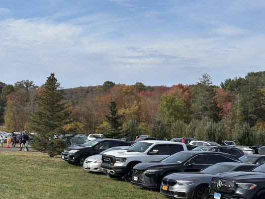Outhouse Orchards by null
