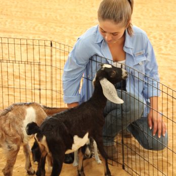River Ranch Texas Horse Park - FREE 3rd THURSDAY
7-22-2022 - Venues & Event Spaces Near Me - Dallas, Texas River Ranch Texas Horse Park - FREE 3rd THURSDAY
7-22-2022 - Venues & Event Spaces Near Me - Dallas, Texas