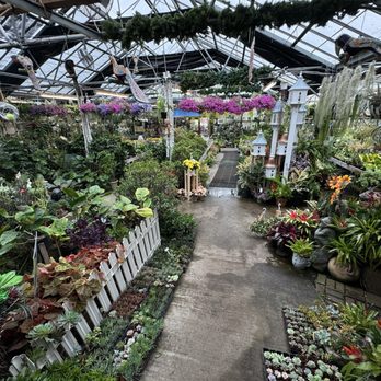 LARCHMONT NURSERIES AND GREENHOUSES - Updated June 2026 - 48 Photos & 25  Reviews - 2315 Boston Post Rd, Larchmont, New York - Nurseries & Gardening  - Phone Number - Yelp