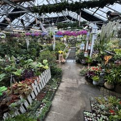 Larchmont Nurseries and Greenhouses