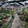 Larchmont Nurseries and Greenhouses gift card