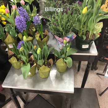 Albertsons - Love their tulips this time of year. Check out the floral if you stop by. - Grocery Near Me - Billings, Montana