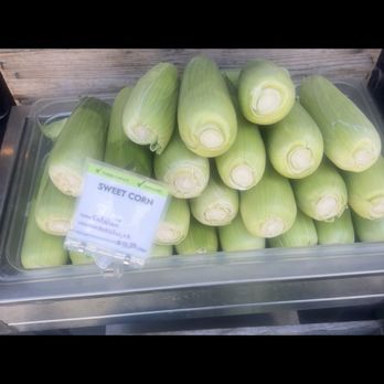 Bi-Rite Market - So corny in SF - Specialty Food Near Me - San Francisco, California Bi-Rite Market - So corny in SF - Specialty Food Near Me - San Francisco, California