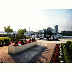 Hingham Shipyard Marinas - Anchor Scenery