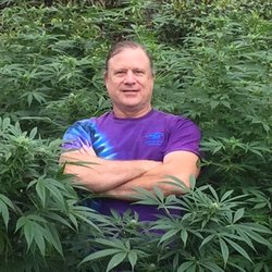 Doctor420Hawaii - Matthew Brittain, LCSW - Care Coordinator