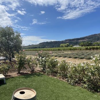 Village 360 - Wine Tasting Room Near Me - Fairfield, California