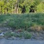 Photo of Big Kountry Yard & Lawn Service