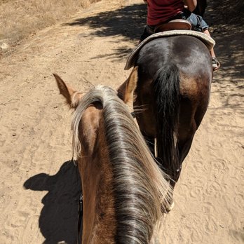 Circle K Riding Stables - Horseback Riding Near Me - Burbank, California Circle K Riding Stables - Horseback Riding Near Me - Burbank, California