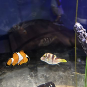 Newport Aquarium - Aquariums Near Me - Newport, Kentucky