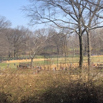 Central Park Conservancy - Parks Near Me - New York, New York Central Park Conservancy - Parks Near Me - New York, New York