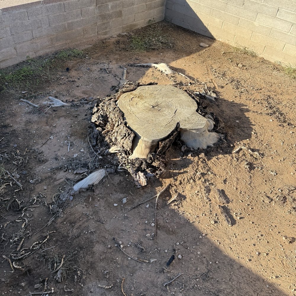Aztec Home Service - This was the stump Carlos helped dig out before. He is excellent! - Handyman Near Me - Tucson, Arizona Aztec Home Service - This was the stump Carlos helped dig out before. He is excellent! - Handyman Near Me - Tucson, Arizona