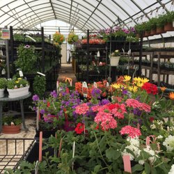 Anchor Point Greenhouse