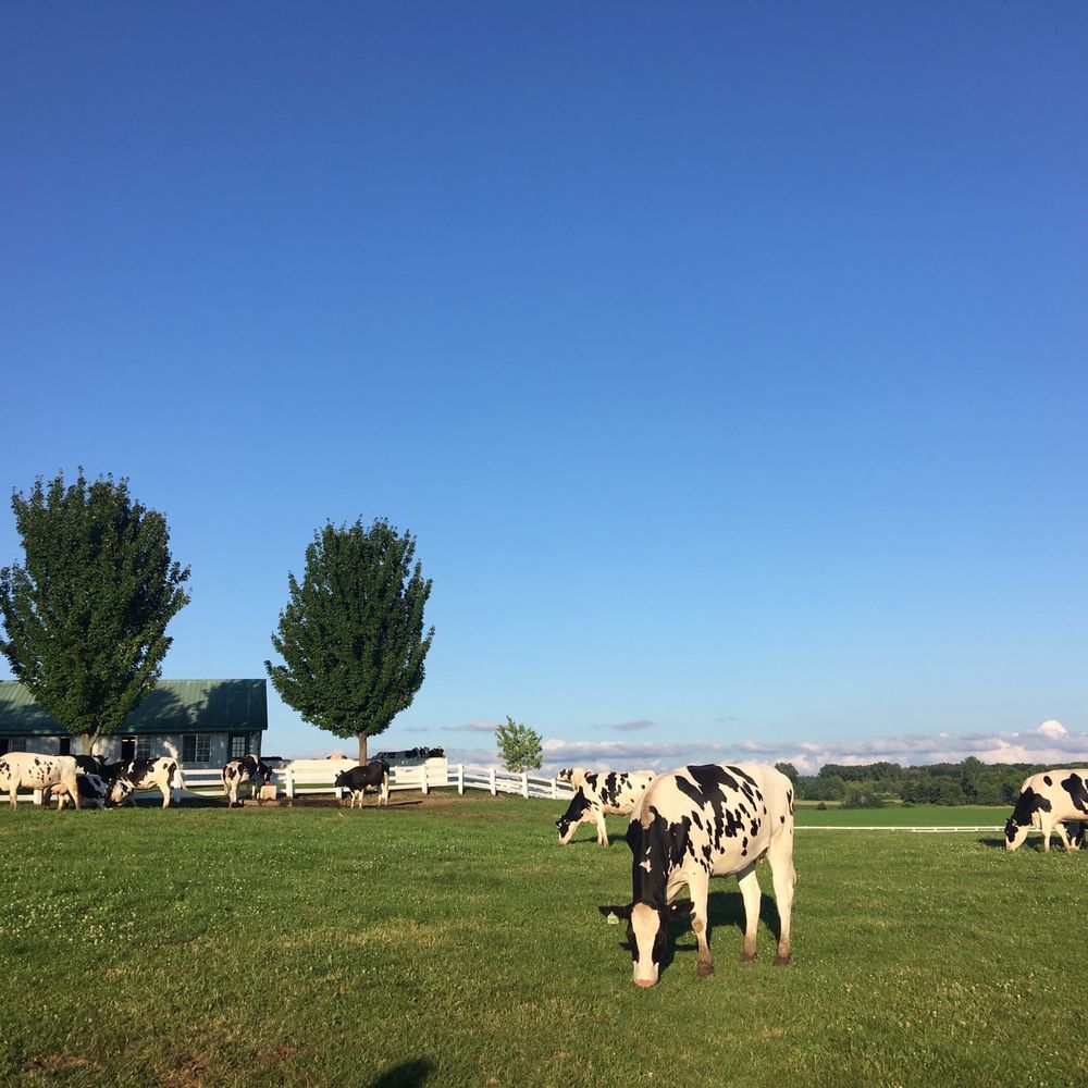 Country Dairy - Ice Cream & Frozen Yogurt Near Me - New Era, Michigan Country Dairy - Ice Cream & Frozen Yogurt Near Me - New Era, Michigan