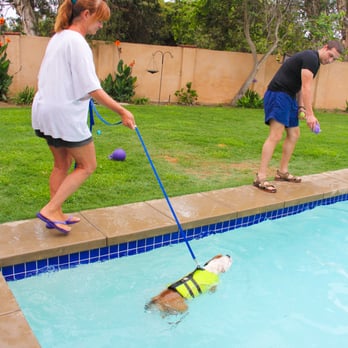 Cutting Edge K9 rehab - Pet Services Near Me - Del Mar, California Cutting Edge K9 rehab - Pet Services Near Me - Del Mar, California