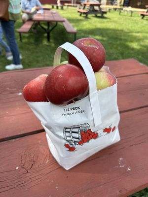 FALL HARVEST ORCHARD - Updated December 2025 - 40 Photos & 32 Reviews ...