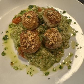Buona Sera - Scallops with risotto. - Italian Near Me - Malta, New York Buona Sera - Scallops with risotto. - Italian Near Me - Malta, New York