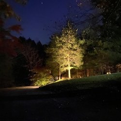 Effective Electric - Replaced existing/damaged landscape lighting, as well as suggested an additional well light to illuminate an evergreen in the front yard.