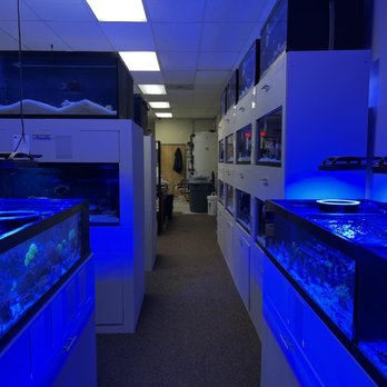 Big Fish Aquarium - Aquarium Services Near Me - Chicago, Illinois Big Fish Aquarium - Aquarium Services Near Me - Chicago, Illinois